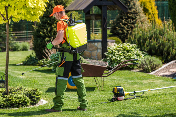 Best Commercial Pest Control  in Sisco Heights, WA